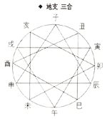 지지3합(地支3合)