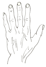 사색형(思索形)의 손